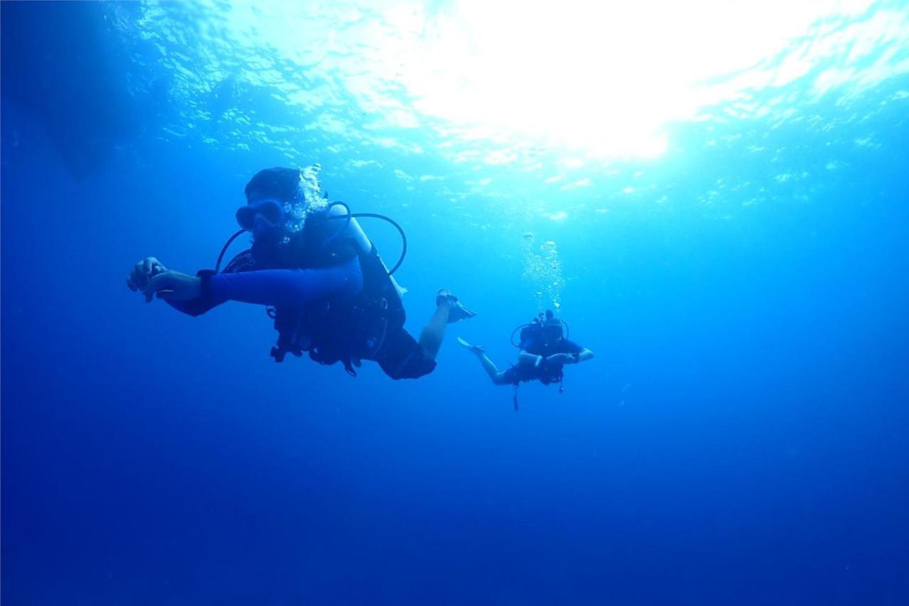 Escape Divers - Jungle Hostel And Dive Centre Ko Tao Luaran gambar